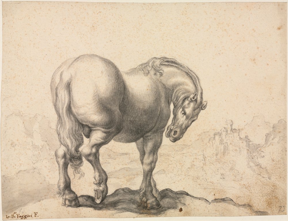 Study of a Stallion, First Third 18th Century by Giovanni Battista Foggini