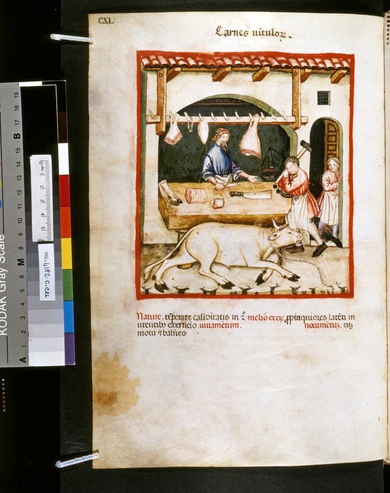 Theatrum sanitatis by Ububchasym de Baldach: 'Carnes Vitulorum', first ...