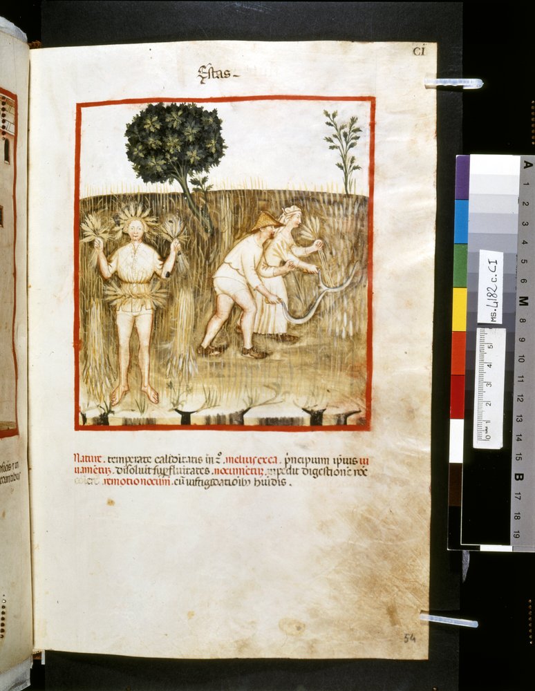 Theatrum Sanitatis by Ububchasym de Baldach: 'Estas', First Decade of ...