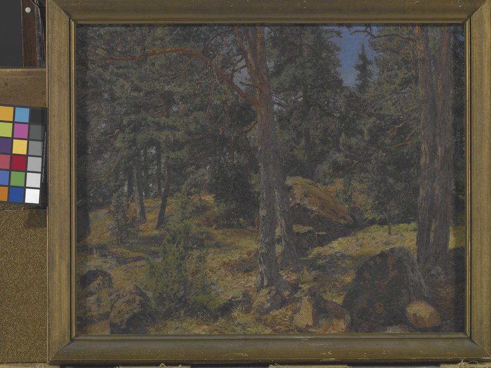 A Fir Bank by Gottfried Kallstenius