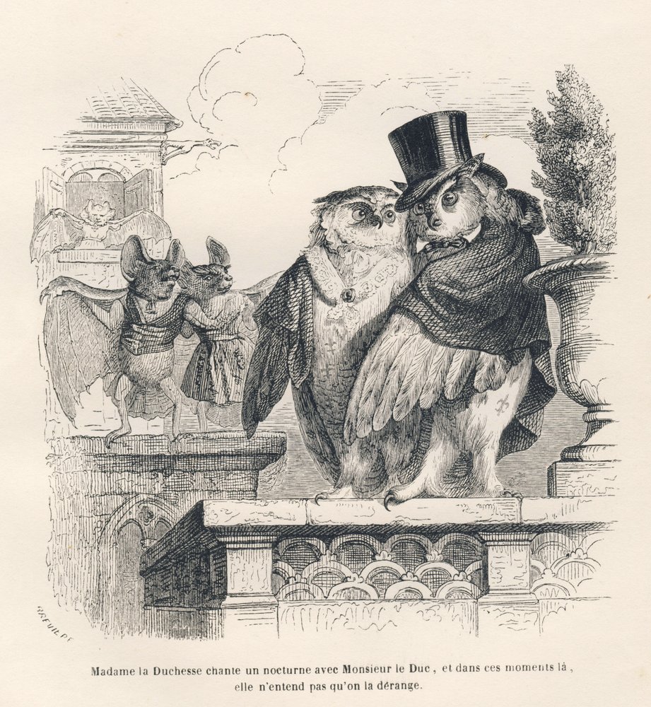 Bat Listening to an Owl and a Hawk Singing. Illustrated Vignettes by JJ Granville. Engraving Signed Breviere in the Section Titled 