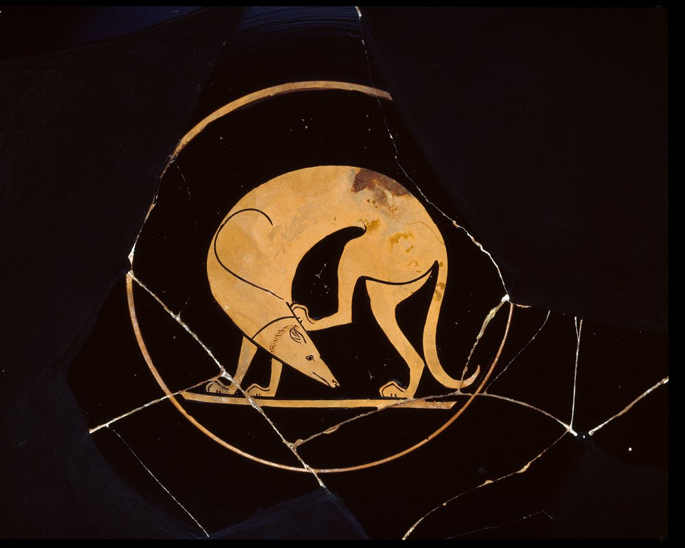 Attic Red-Figure Cup (detail) by Greek