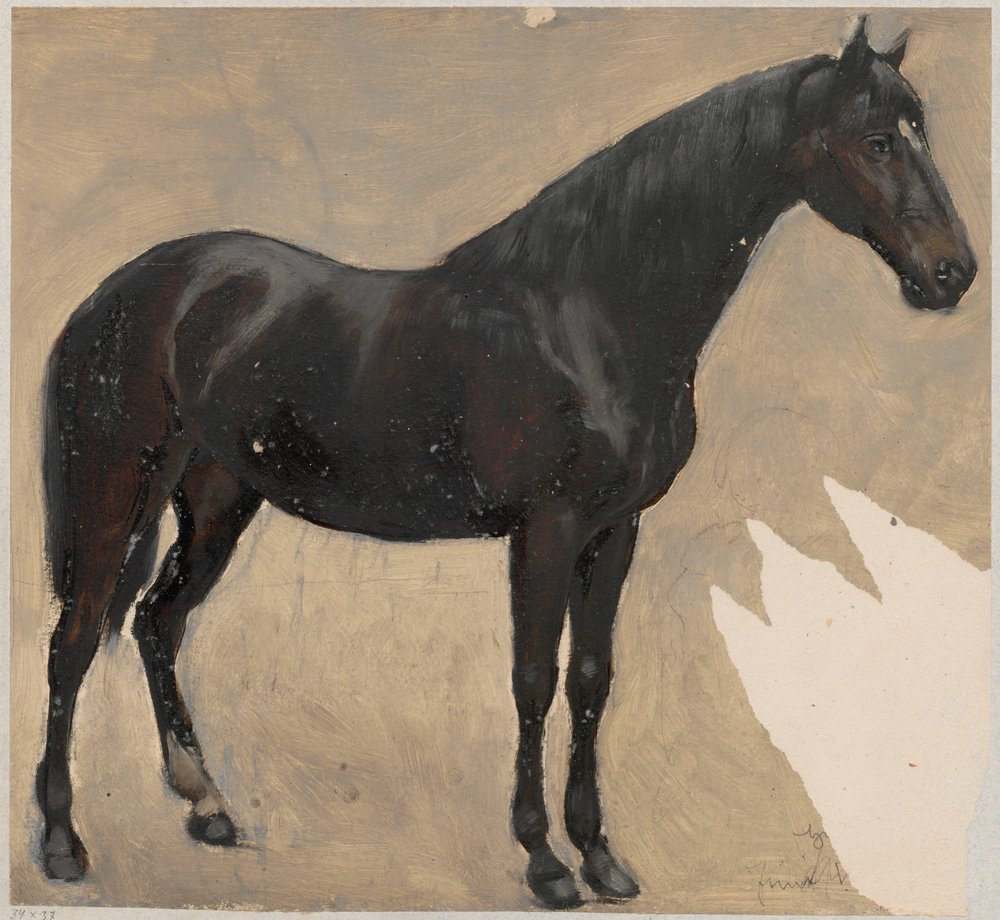 Study of a Horse by Hans Thoma