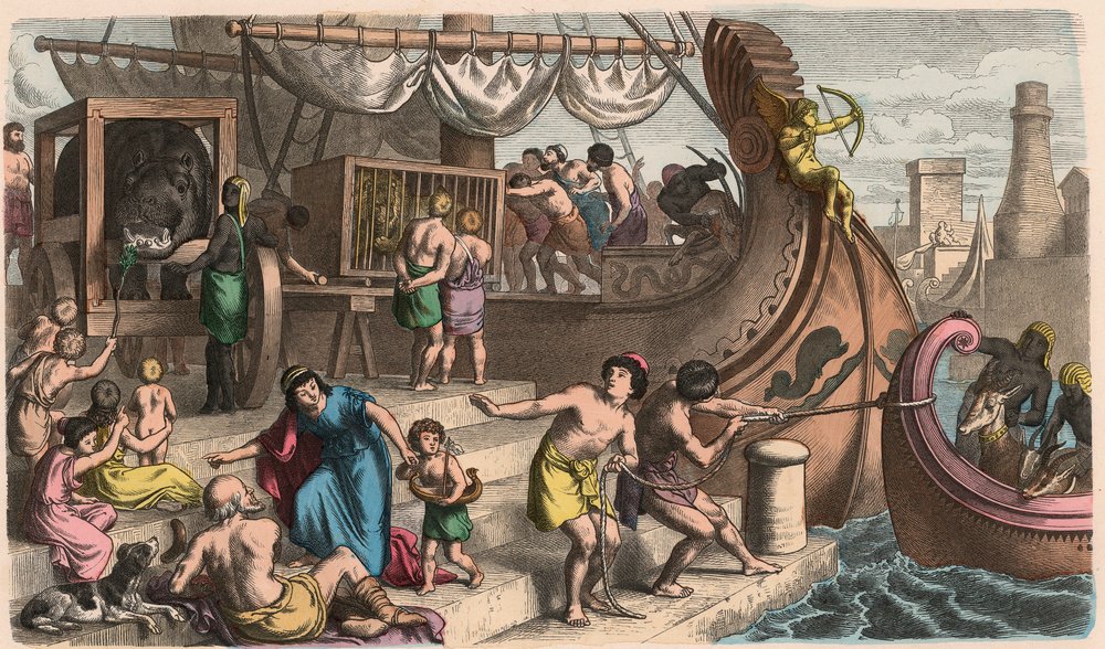 Ancient Rome: Sea Travel, Wild Animals are Transported for the Circus