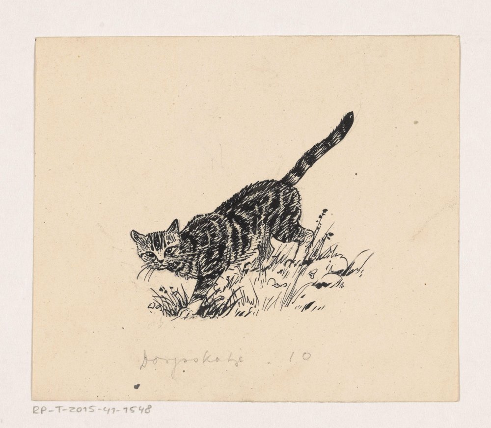 Cat by Henri Verstijnen
