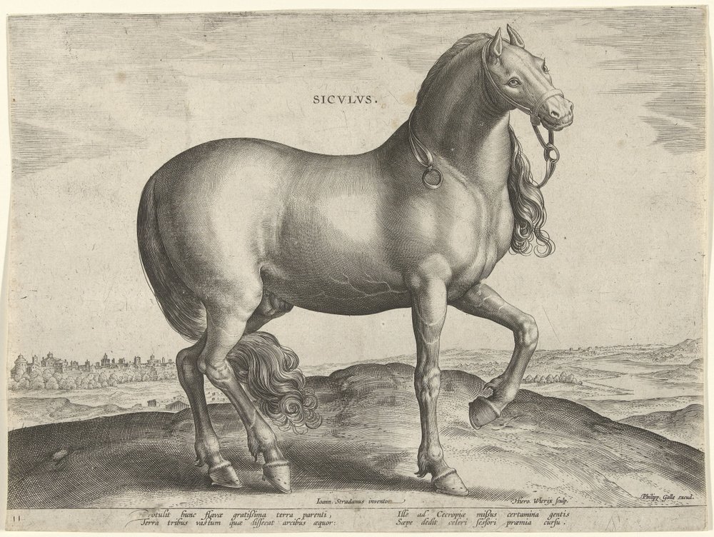 Horse from Sicily by Hieronymus Wierix