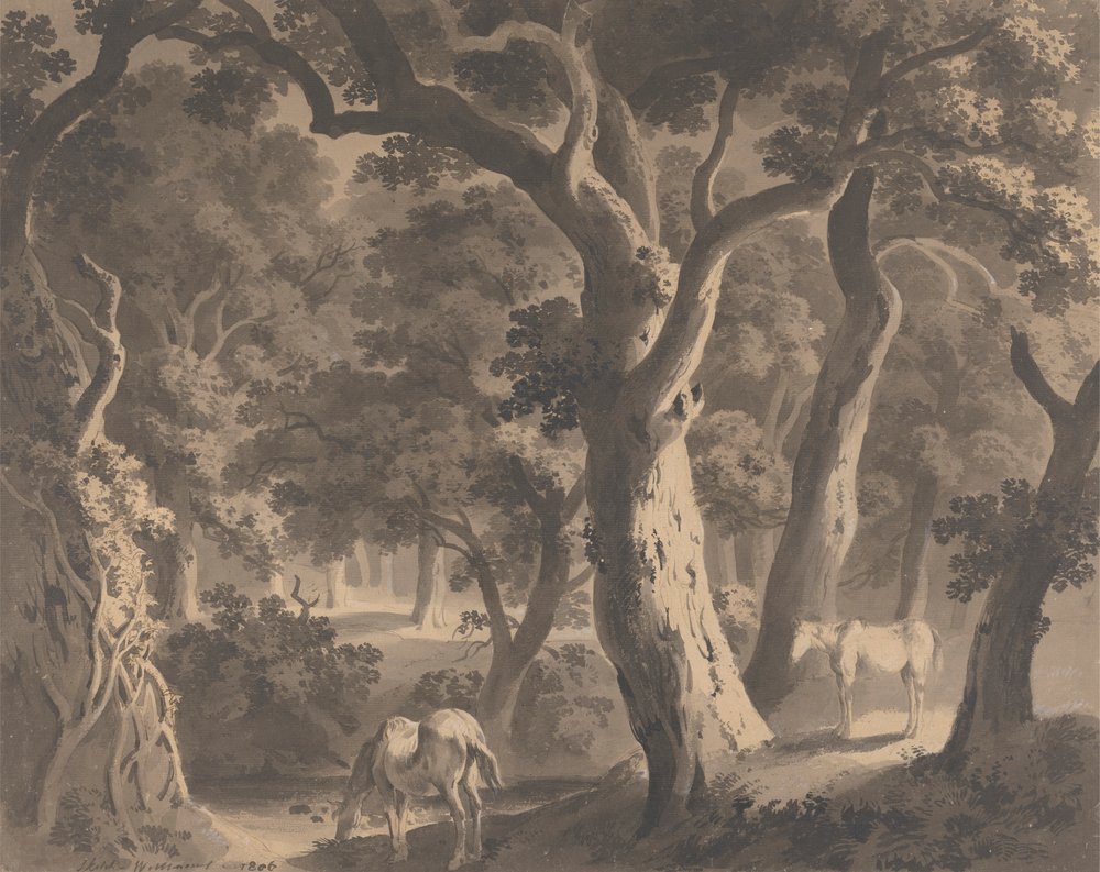 Wychwood Forest By Hugh William Grecian Williams