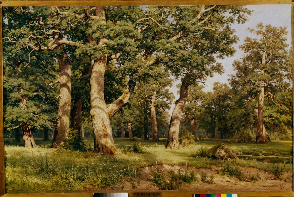 Oak Grove, 1887 by Ivan Ivanovich Shishkin