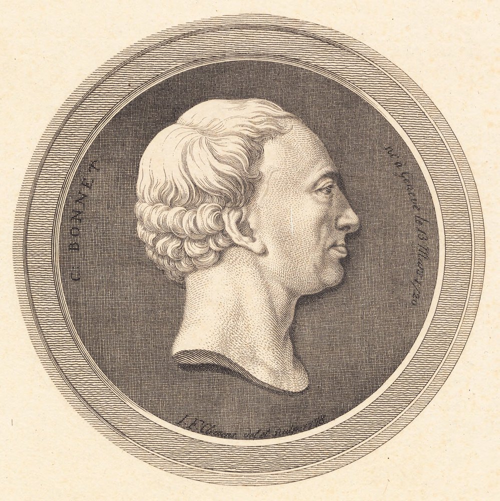 Relief Medallion with Portrait of Bonnet by J.F. Clemens