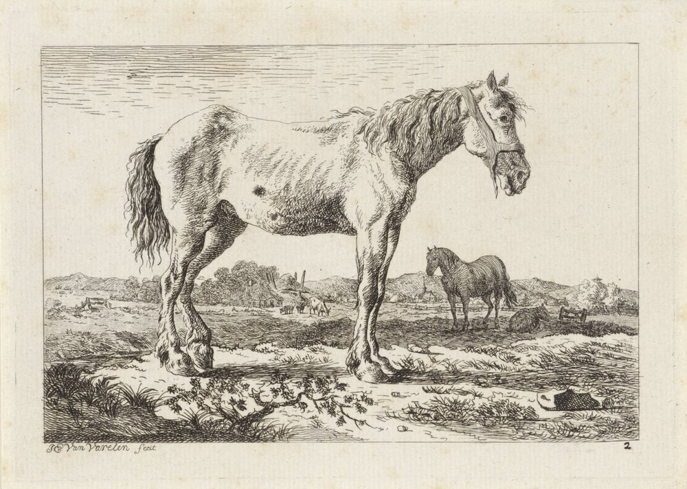 Standing Horse in a Landscape (Six Prints after Drawings by Various Masters) by Jacob Elias van Varelen