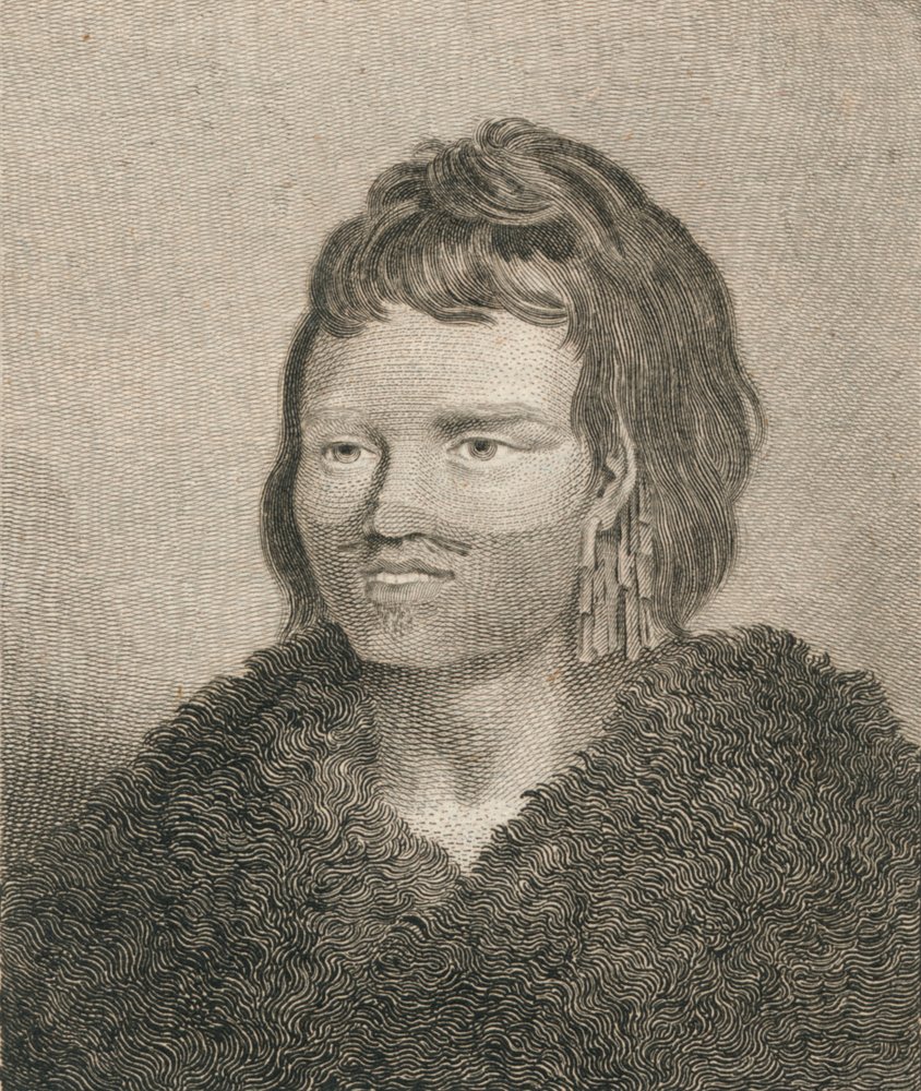 A Native of Sandwich Sound by James Heath