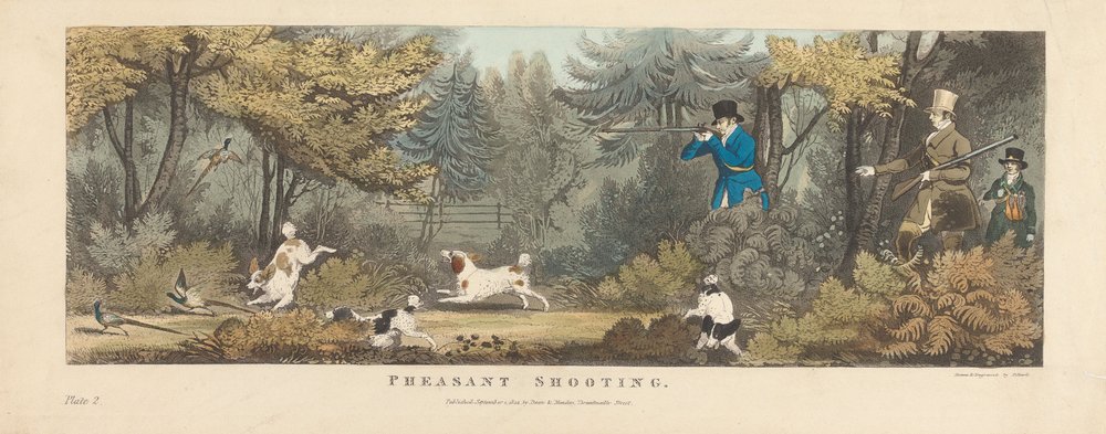 Shooting [set of six]: 2. Pheasant Shooting by James Pollard