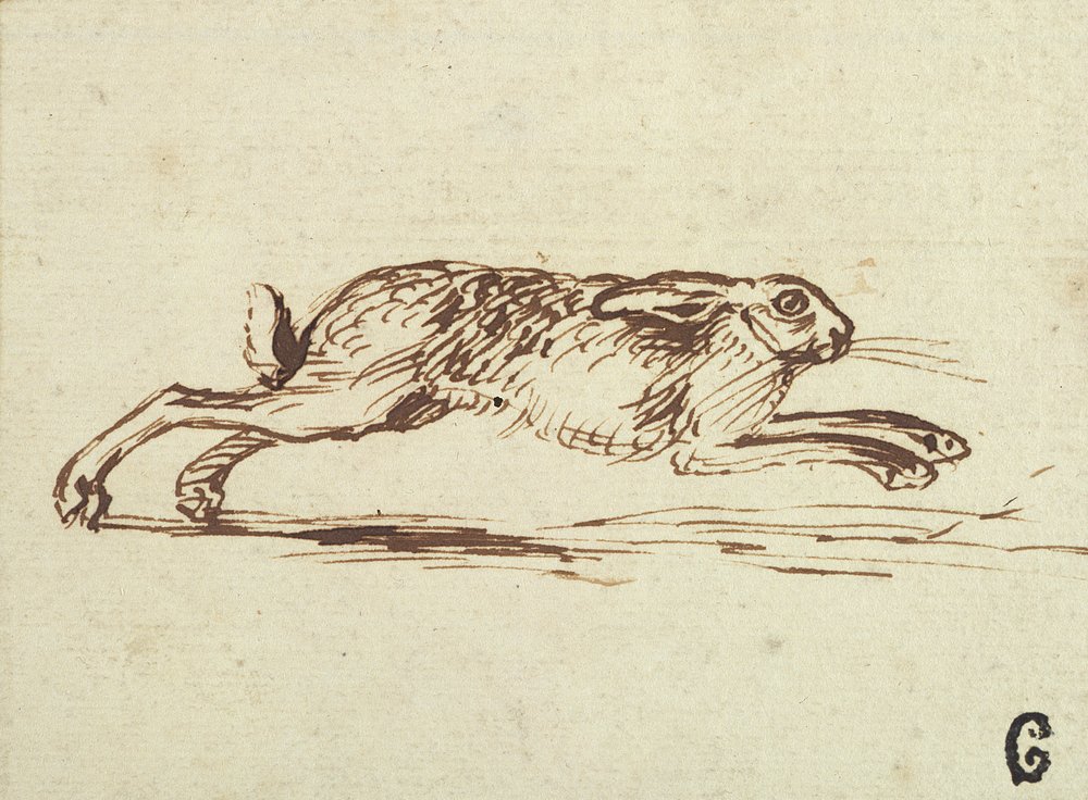 A Hare Running, With Ears Laid Back by James Seymour