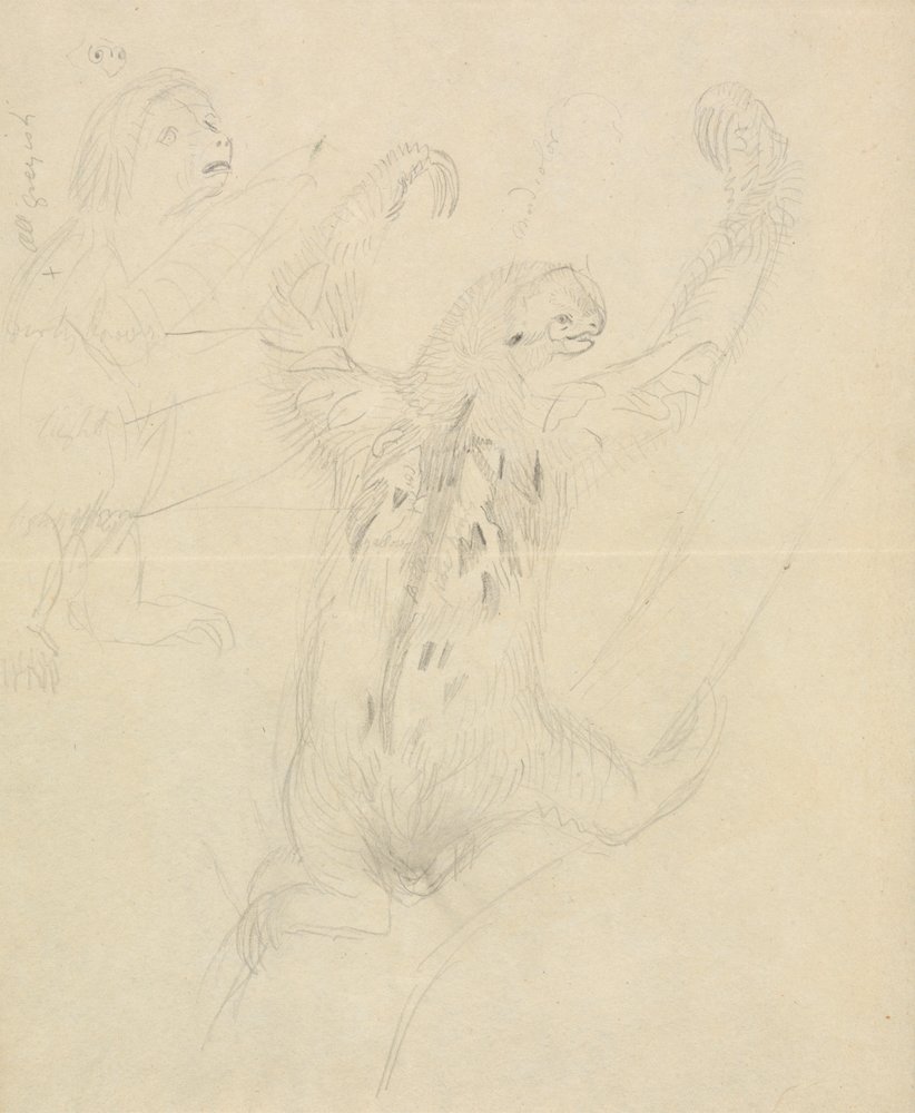 Two Sloths by James Sowerby: Premium art reproduction
