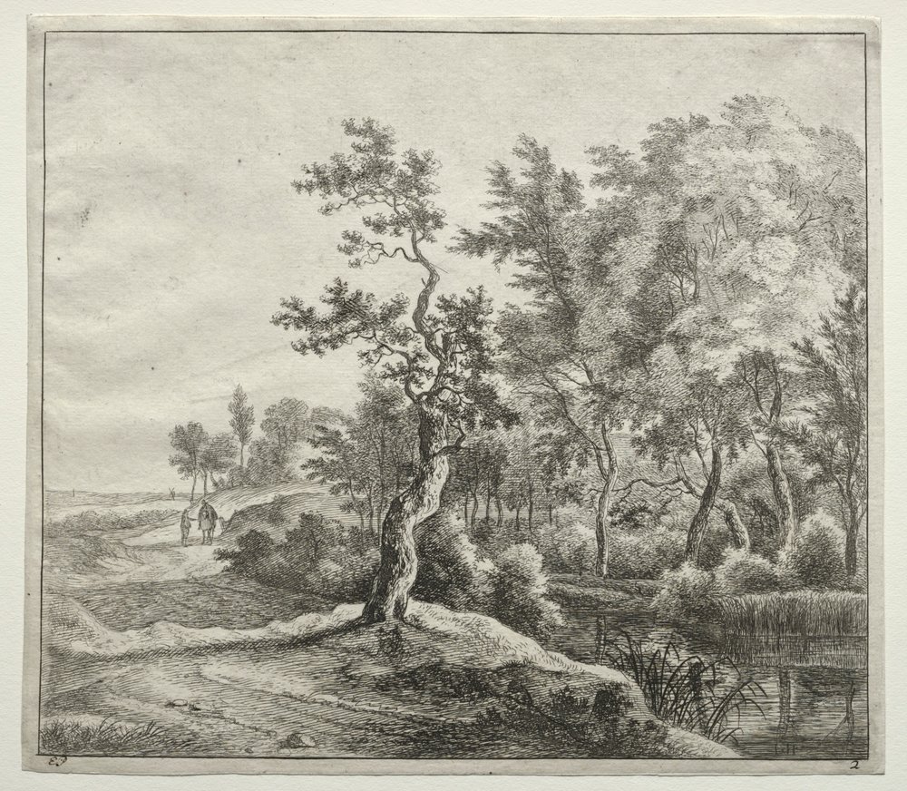 The Serpentine Road by Jan Hackaert