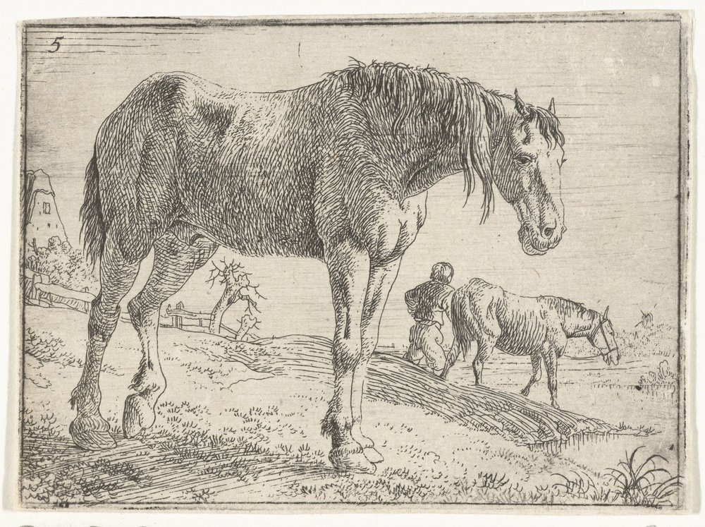 Standing Horse (Landscapes with Horses series) by Jan van Aken