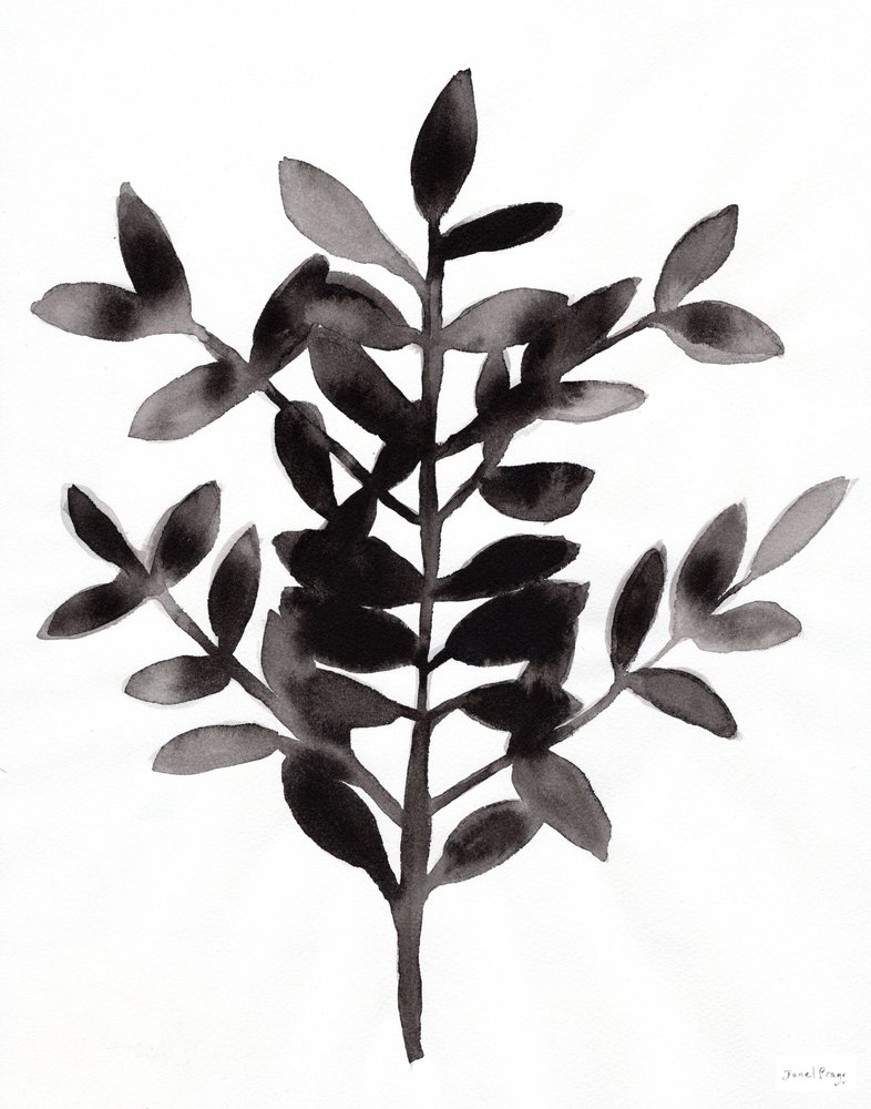 Botanical with Nagi Fern III by Janel Bragg
