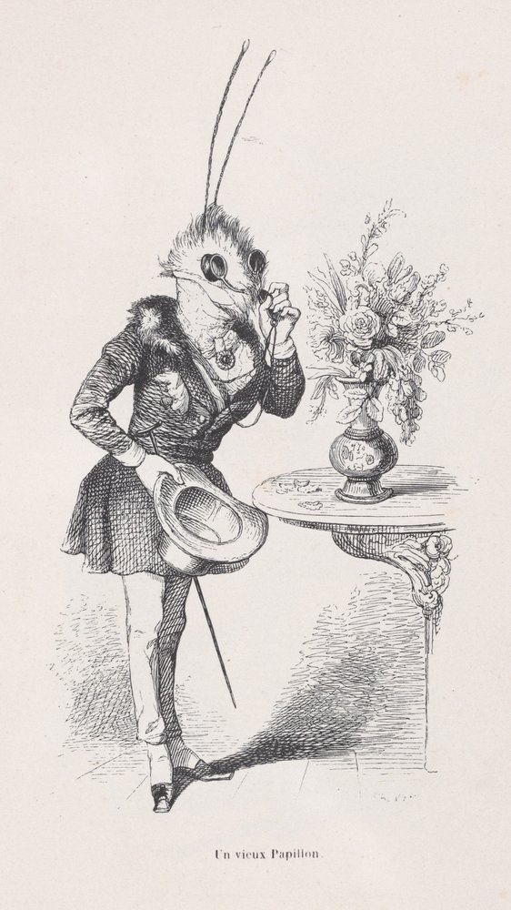 An Old Butterfly from Scenes from the Private and Public Life of Animals by Jean Ignace Isidore Gérard