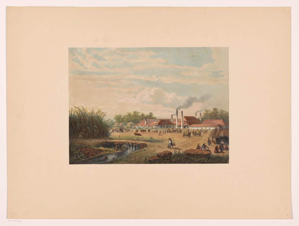 Pangka Factory near Tegal in Central Java by Johan Conrad Greive