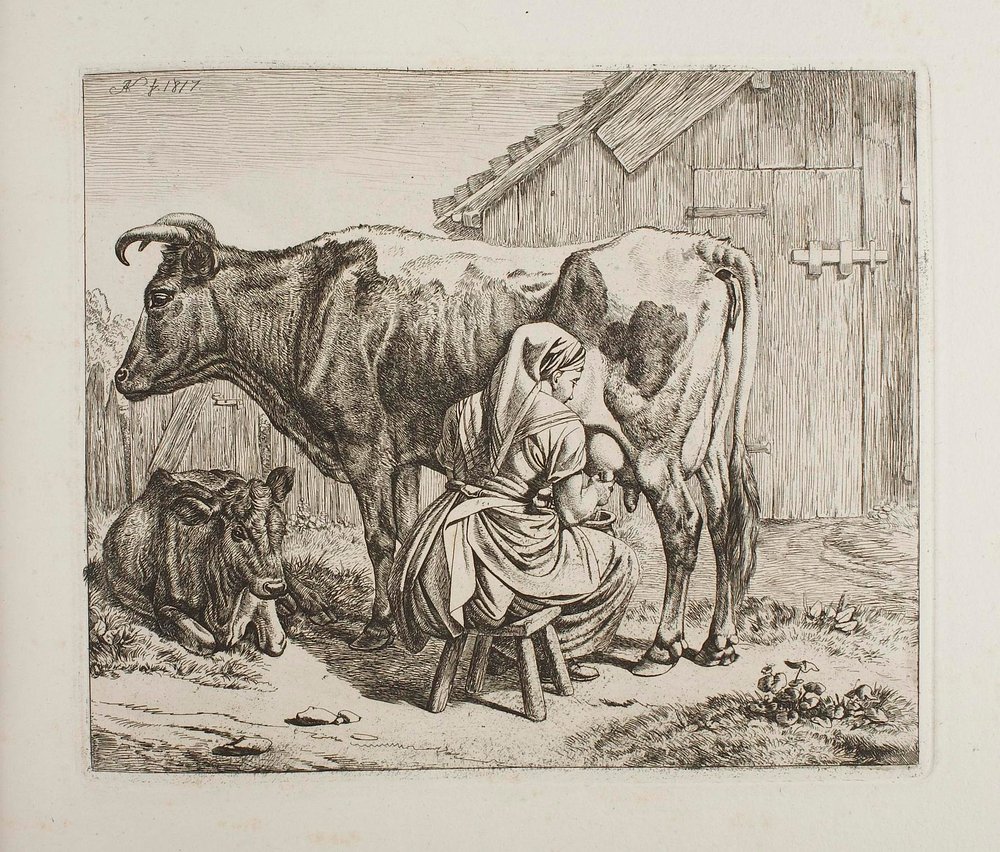 Cow with Calf being Milked by Johann Adam Klein