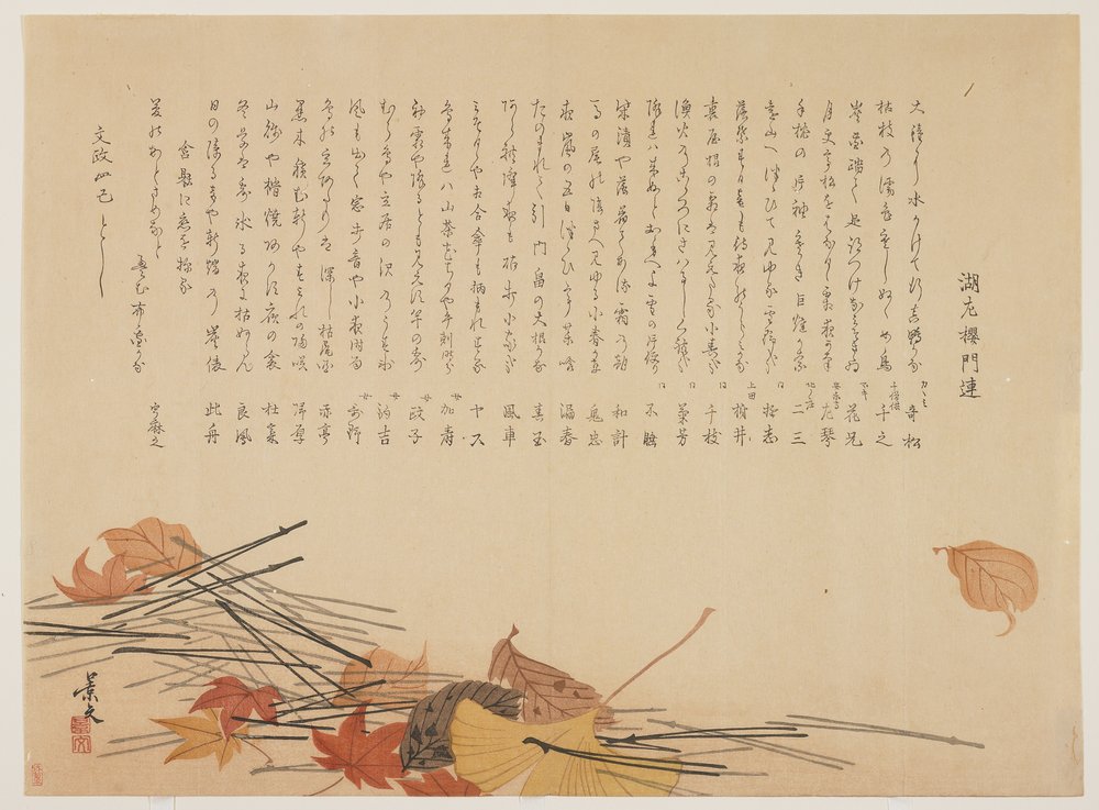 Dead Leaves and Pine Needles, 1821 by John Thomas Barber Beaumont