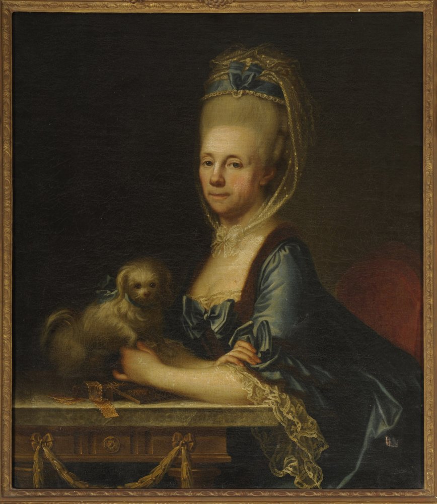 Rafaela Salm-Reifferscheidt, née Rogendorf by Joseph Hickel