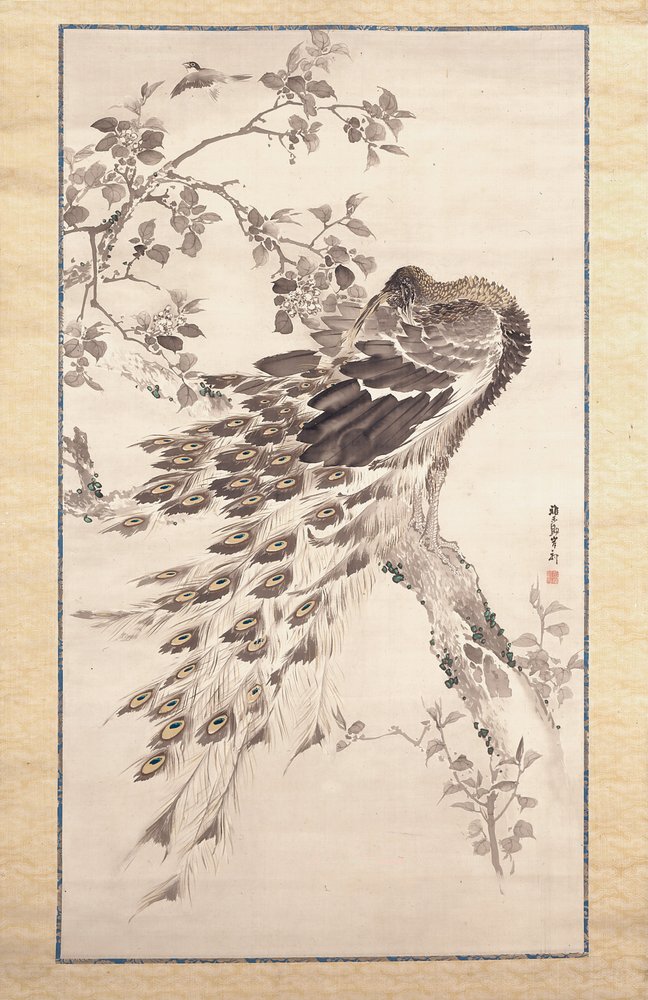 Peacock On Cherry-Apple Tree by Kishi Ganku
