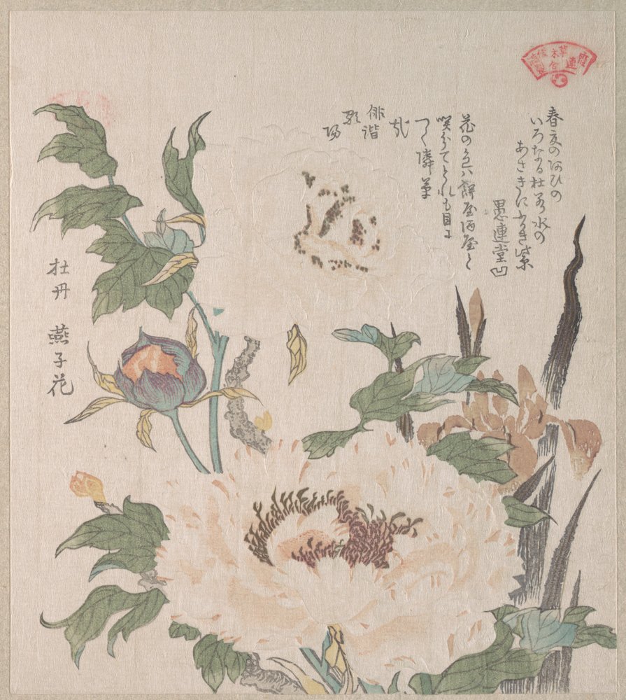 Peonies and Iris by Kubo Shunman