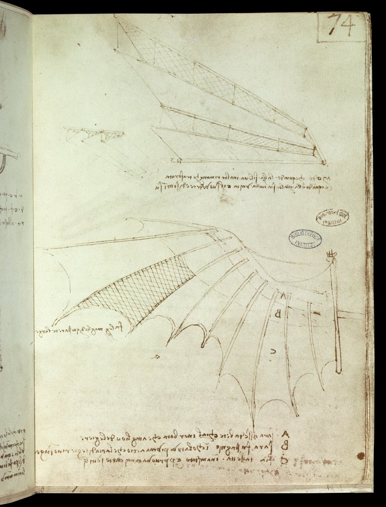 Wing. Flying machine drawing. Manuscript by Leonardo da Vinci