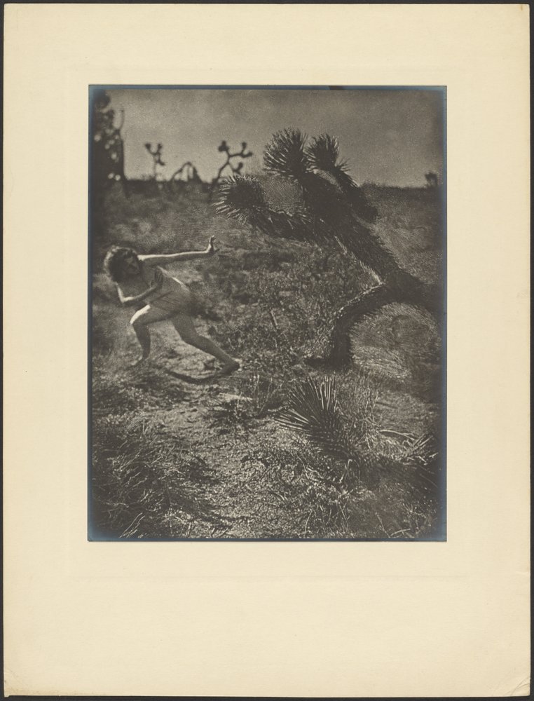 Bogey Man of the Desert by Louis Fleckenstein