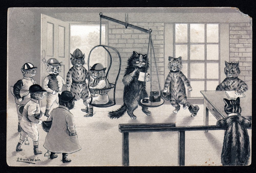 We enjoy the good weather. Animals in human posture. Cat as jockey being weighed on a scale. Postcard. Chromolithograph by Louis Wain, early 20th century. Private collection by Louis Wain