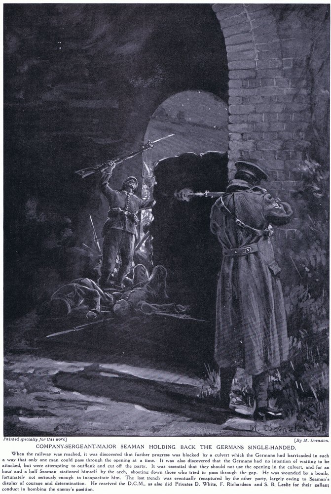 Company Sergeant Major Seaman won a DCM for single-handedly holding back a German attack February 1915 by Margaret Dovaston