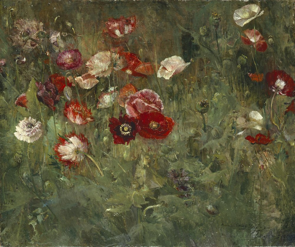 A Bed of Poppies, 1909 by Maria Oakey Dewing