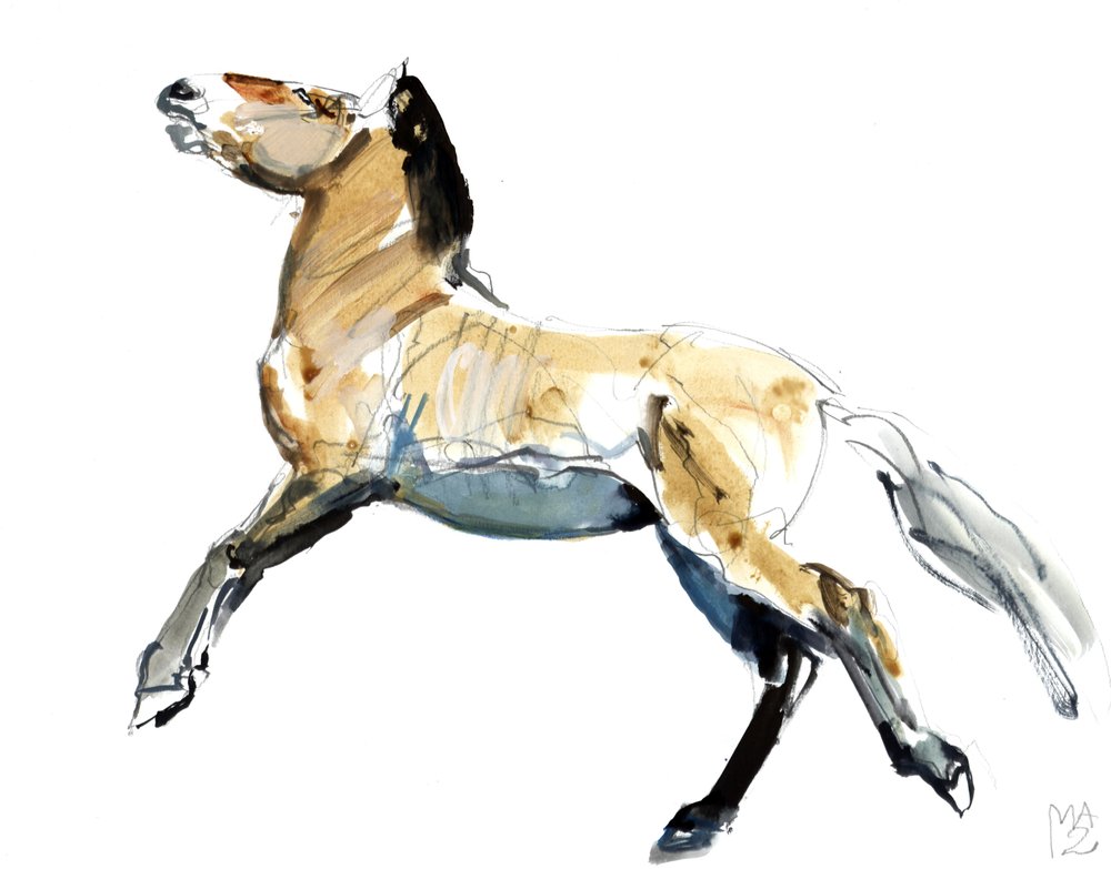 Free (Przewalski) by Mark Adlington