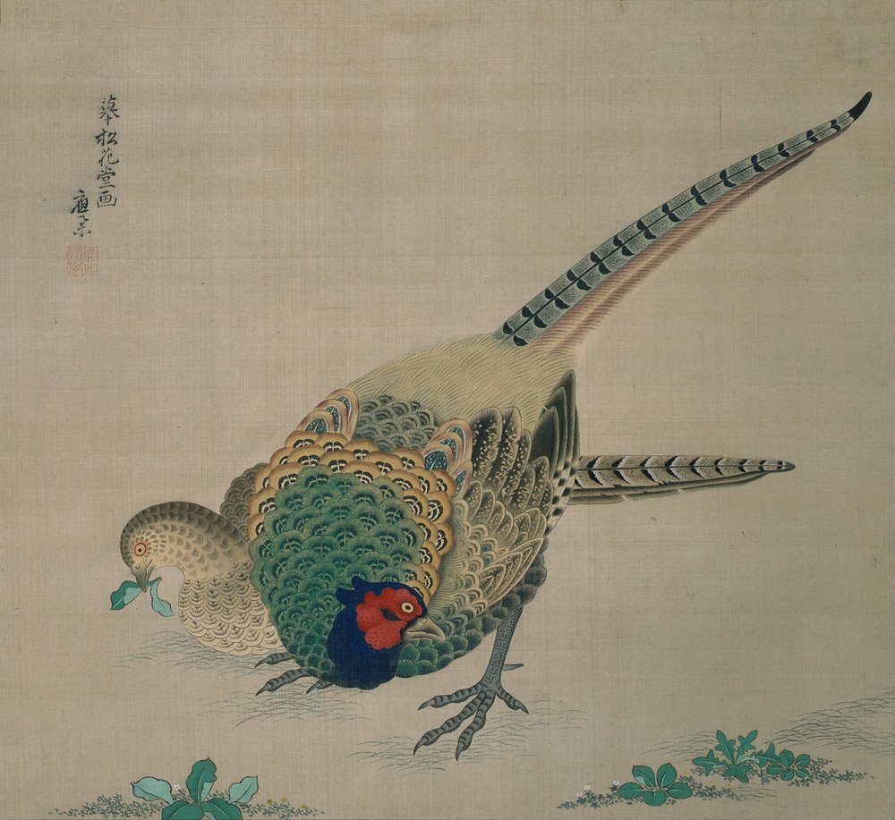 Hanging Scroll (pair of pheasants) by Maruyama Okyo