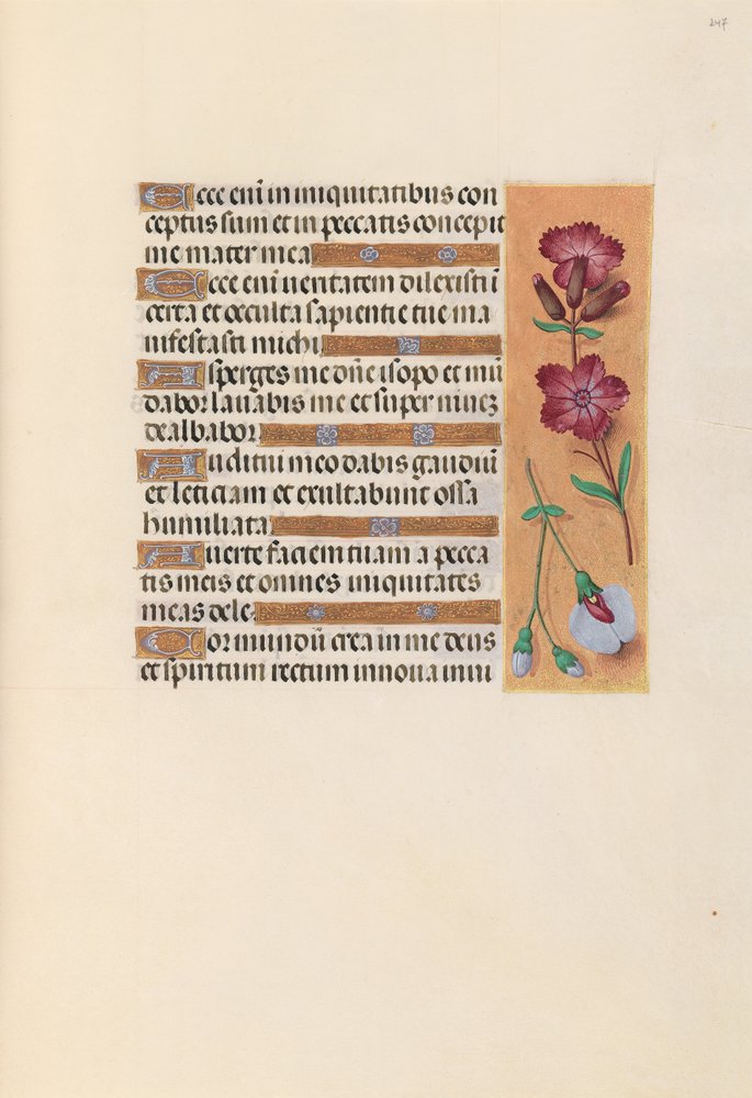 Hours of Queen Isabella the Catholic, Queen of Spain: Fol. 247r by Master of the First Prayerbook of Maximillian