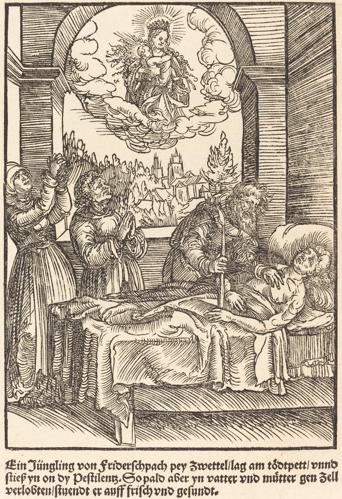 A Young Man from Friderschpach by Master of the Miracles of Mariazell