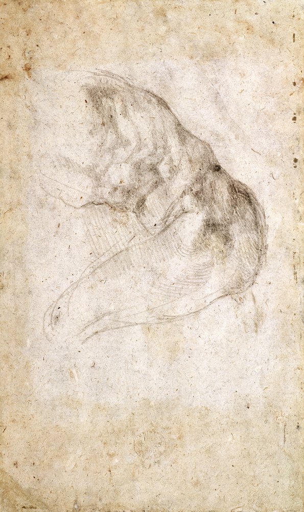 Study for The Creation of Adam (verso)
