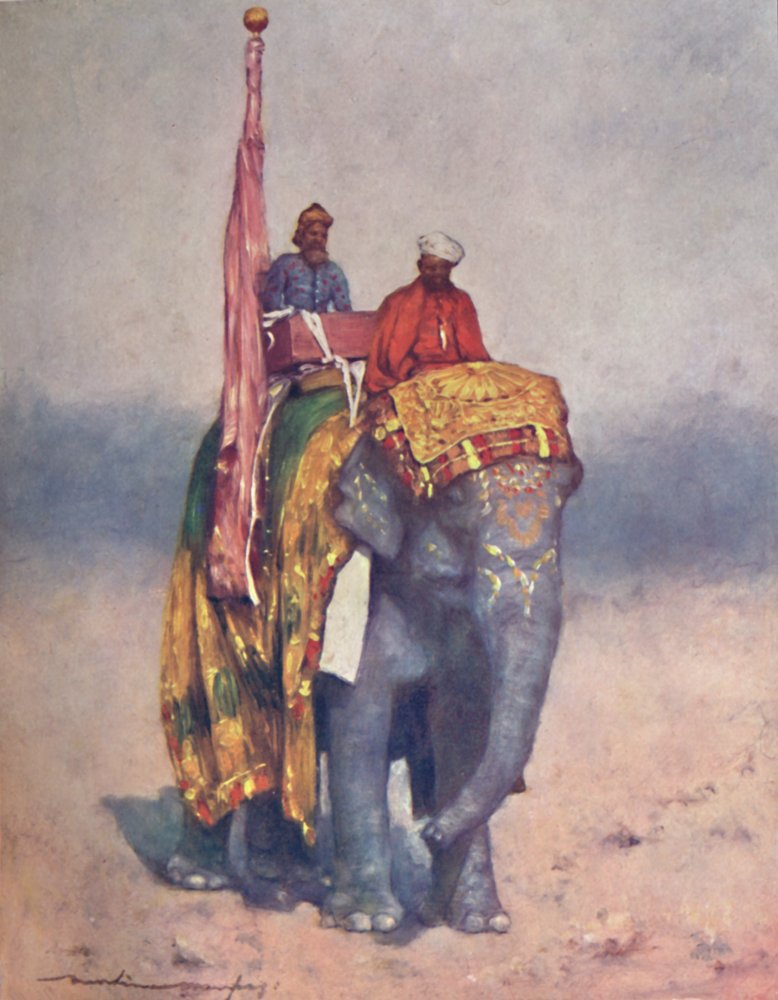 An Elephant from the Sandy Wastes of Rajputana by Mortimer L Menpes