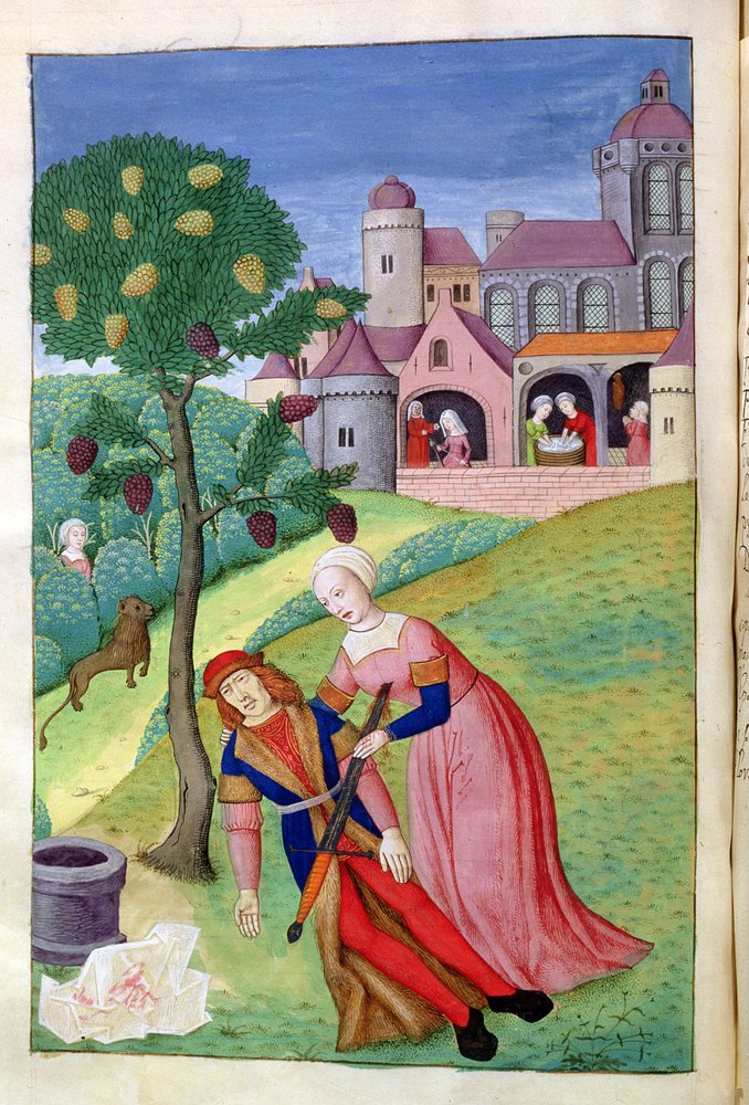 Ms. 324 f. 44v. Alcithoe, Pyramus and Thisbe, Mulberry tree changes colour, from Metamorphoses by Ovid, 1479 by Netherlandish School
