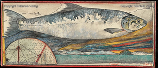 Salmon Land by Ole West