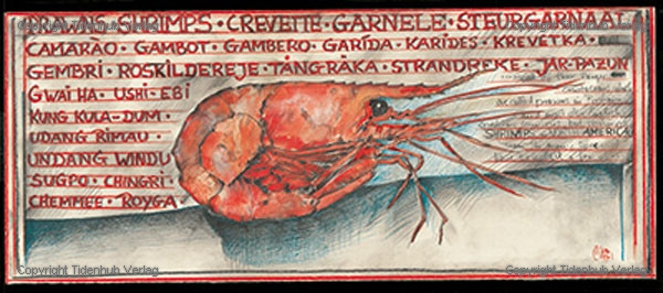Prawns by Ole West