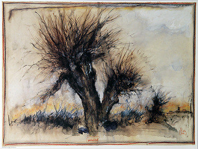 Willow Evening by Ole West