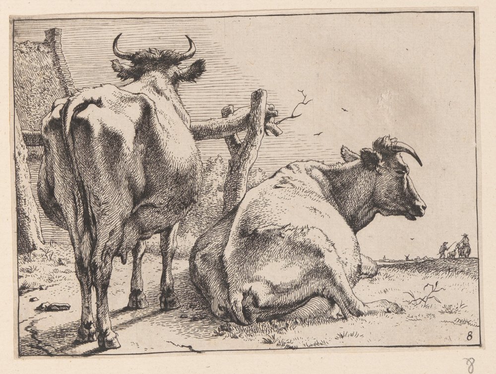 Two Cows Seen from Behind, from Various Oxen and Cows by Paulus Potter