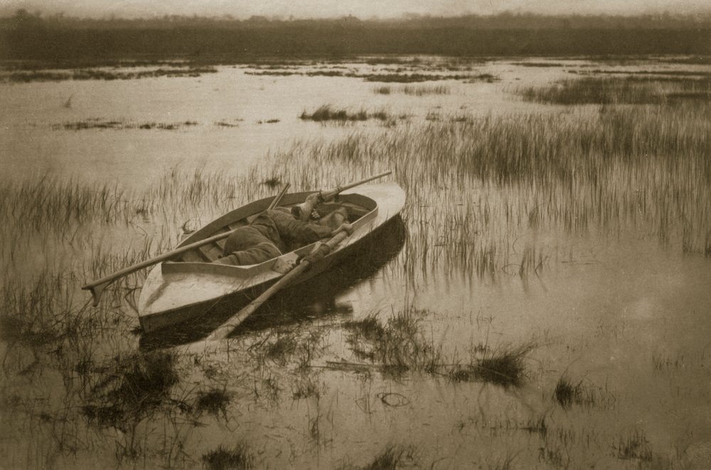 Gunner Waking up the Fowl, Life and Landscape on the Norfolk Broads