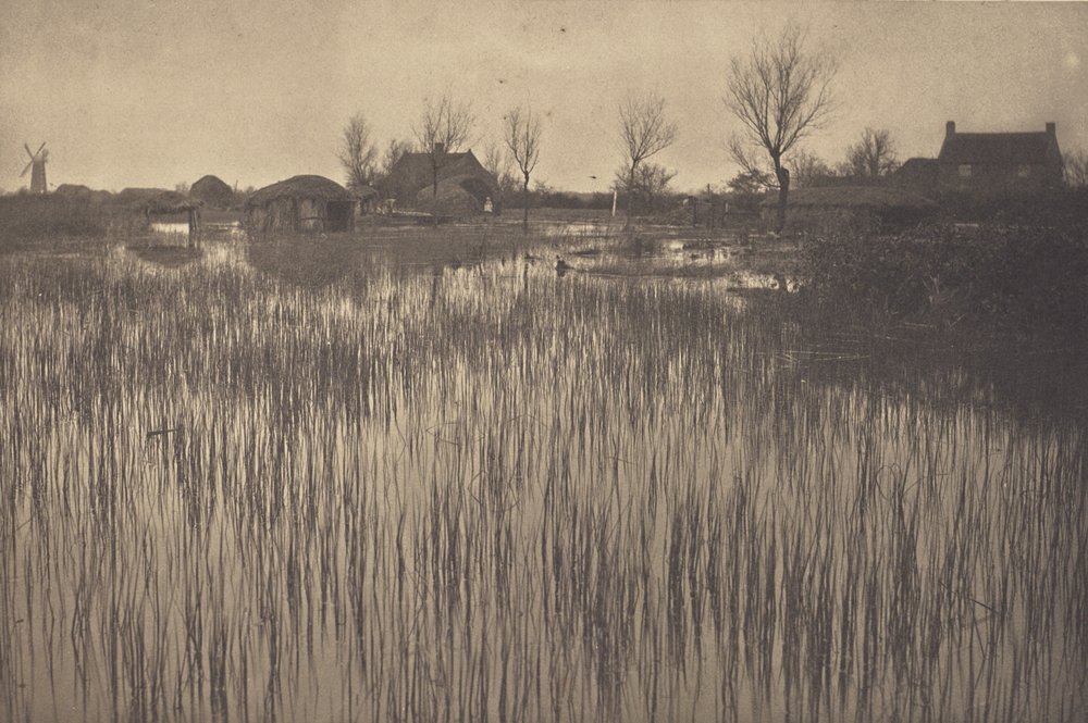 A Rushy Shore by Peter Henry Emerson