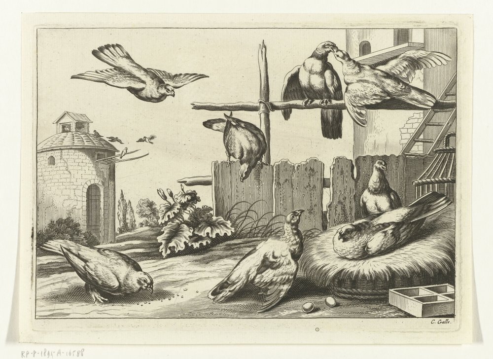 Pigeons at a Dovecote (series title: Diversarum avium species, Various Birds) by Peter van Liesebetten
