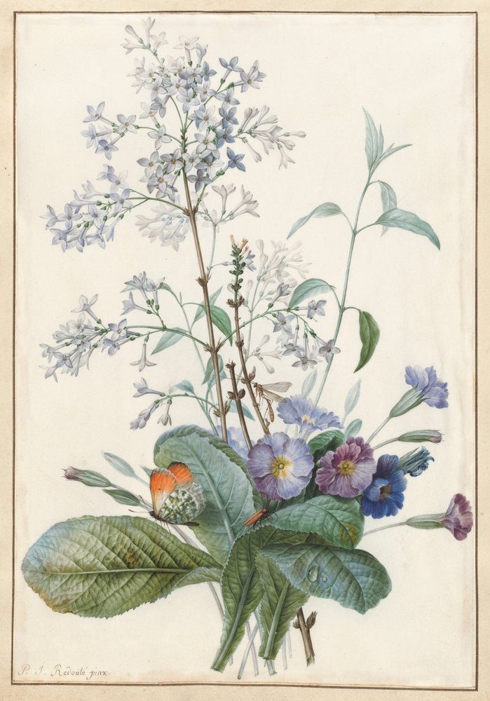 A Bouquet of Flowers with Insects by Pierre-Joseph Redouté