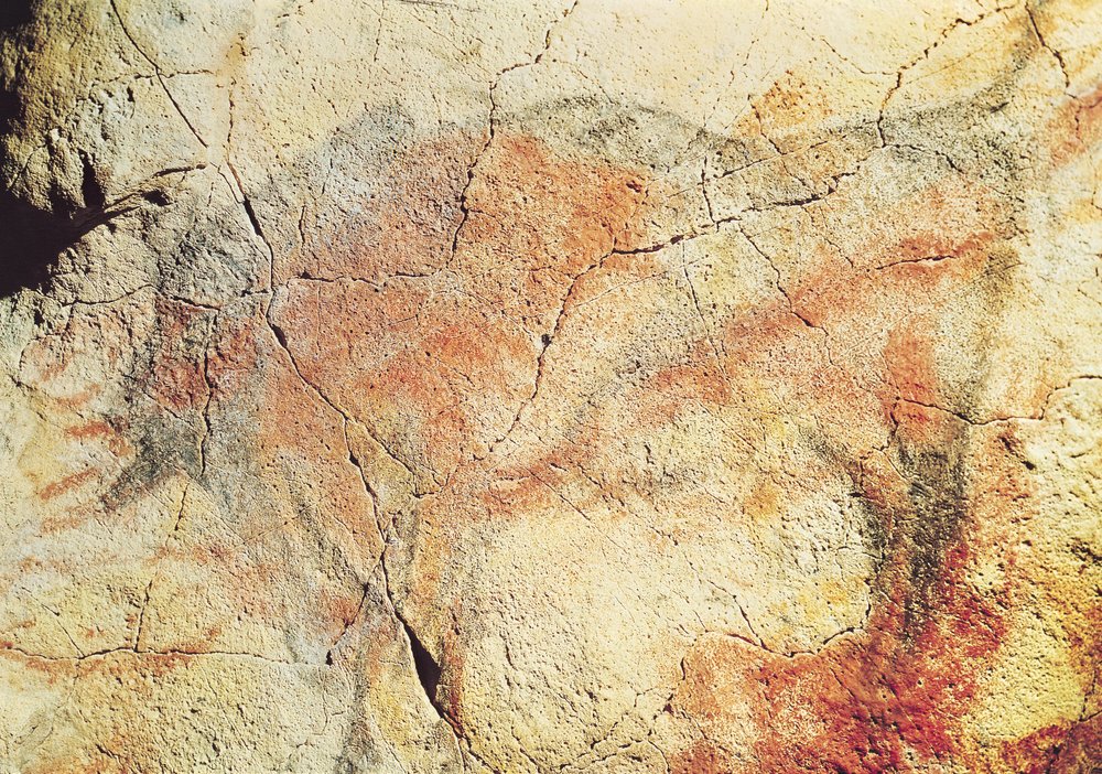 Bison, from the Caves at Altamira, c.15000 BC by Prehistoric