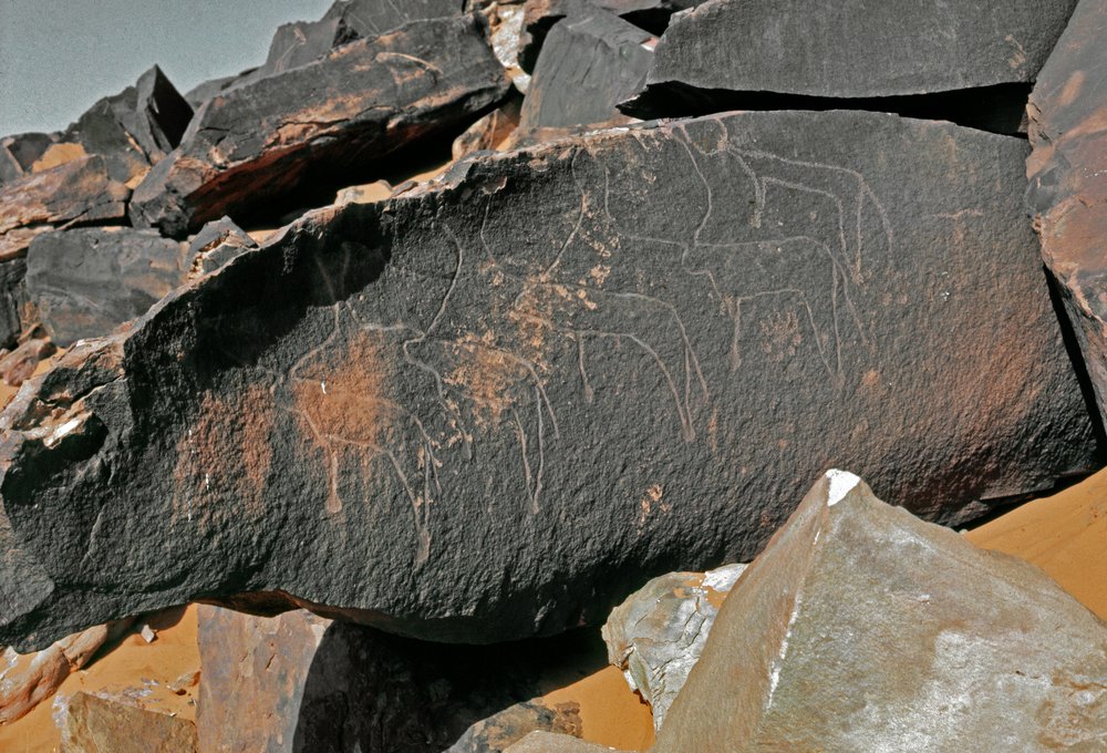 Prehistory, Rock Art: Grave Rock of the Representation of Cattle